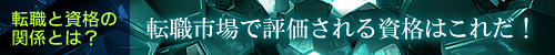 �]�E�s��ŕ]������鎑�i�͂��ꂾ�I