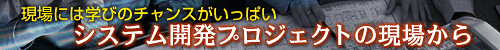 システム開発プロジェクトの現場から